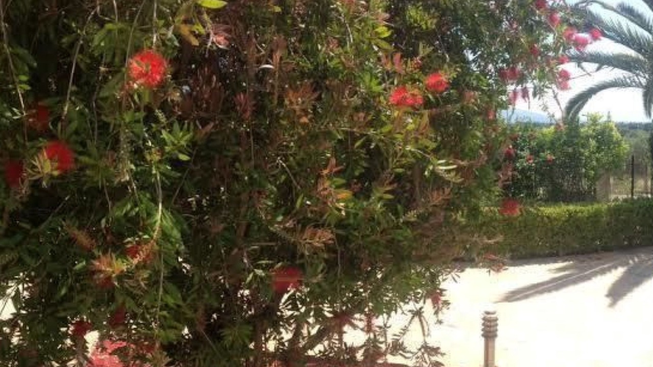 Photo of Others in Eretria