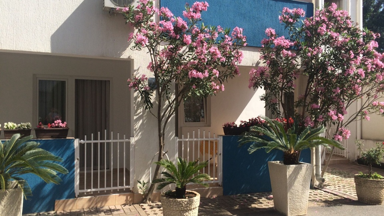 Photo of Outdoor in Becici