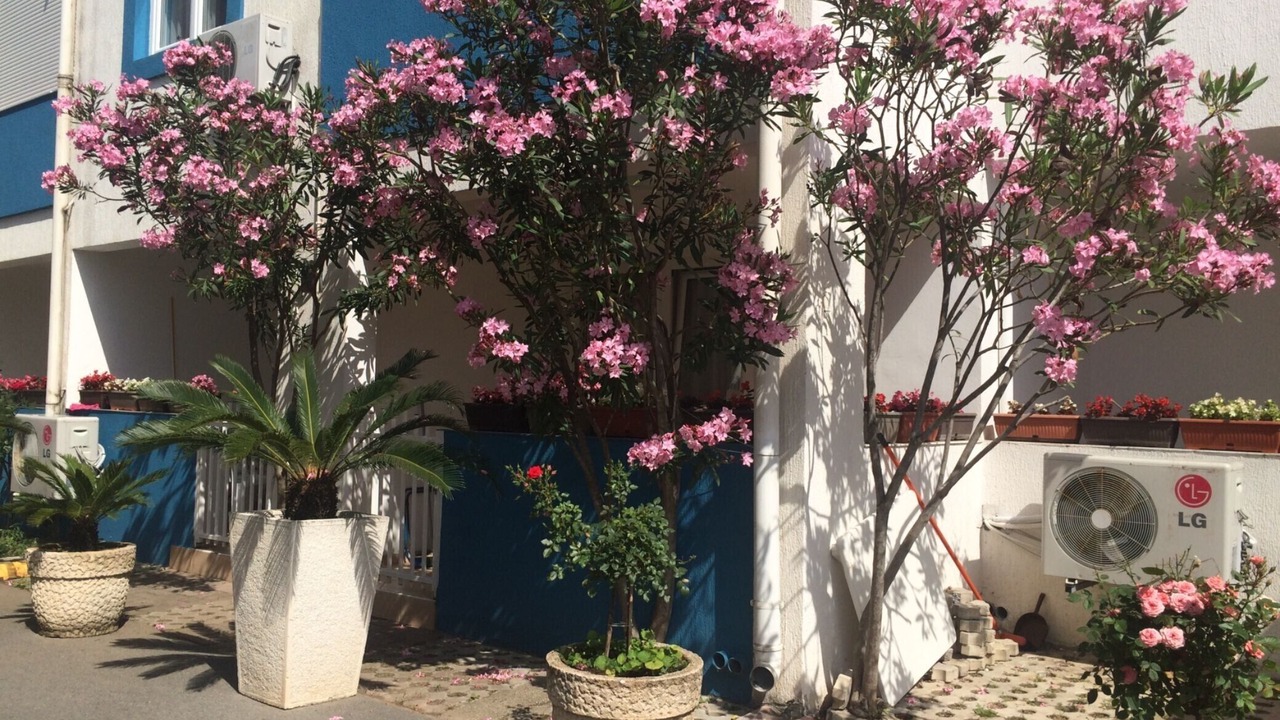 Photo of Outdoor in Becici