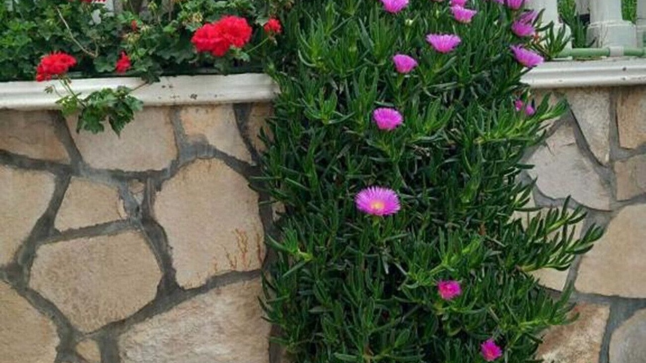 Photo of Outdoor in Susanj
