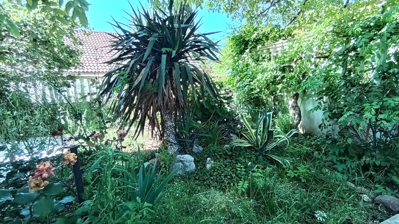 Photo of Outdoor in Susanj