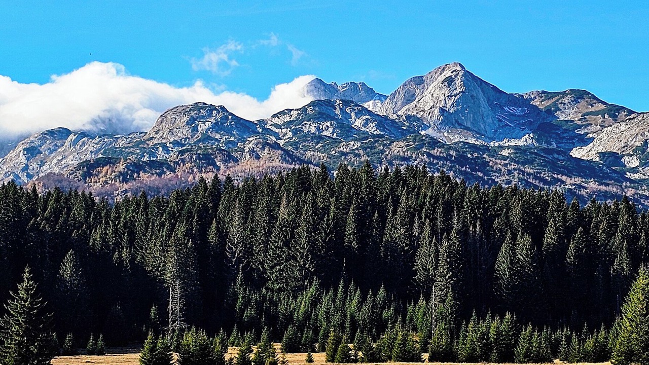 Photo of Others in Zabljak