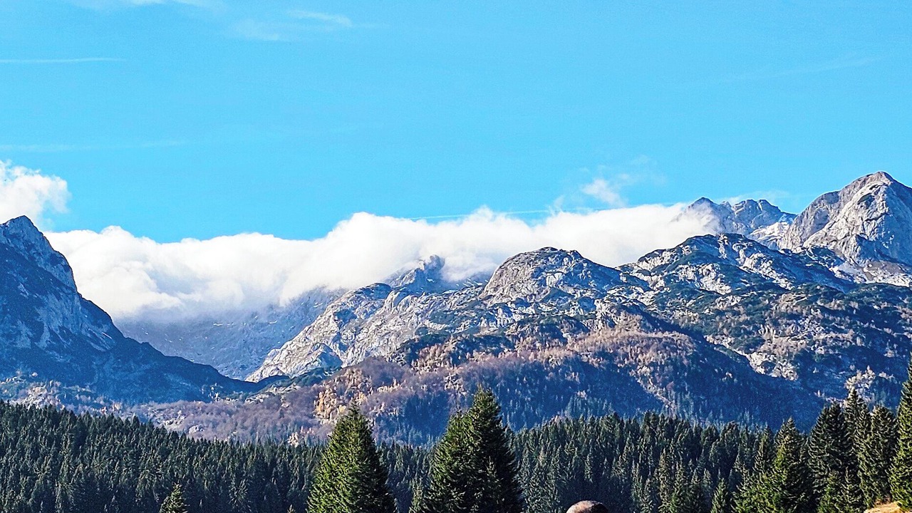 Photo of Others in Zabljak
