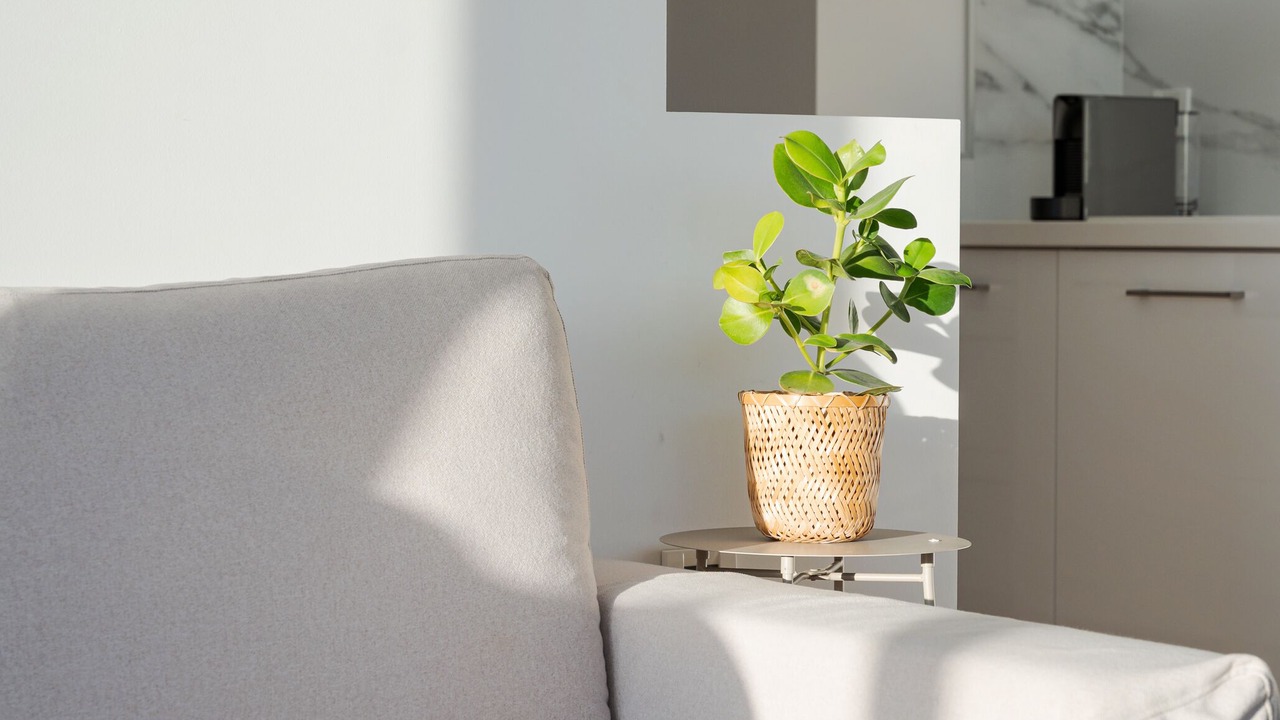 Photo of Livingroom in Glyfada