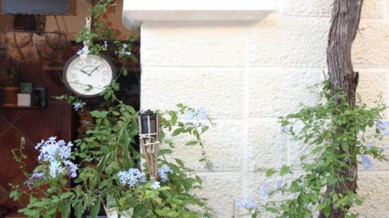Photo of Outdoor in Old Town