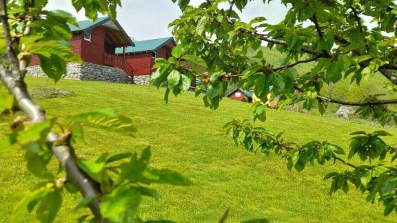 Photo of Outdoor in Mojkovac