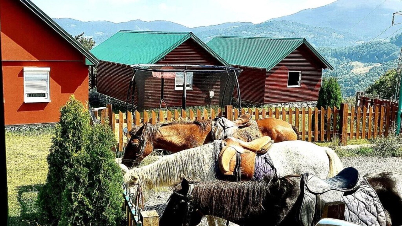 Photo of Outdoor in Mojkovac