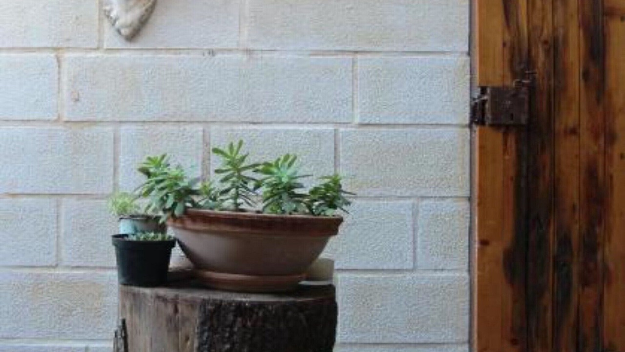 Photo of Outdoor in Old Town