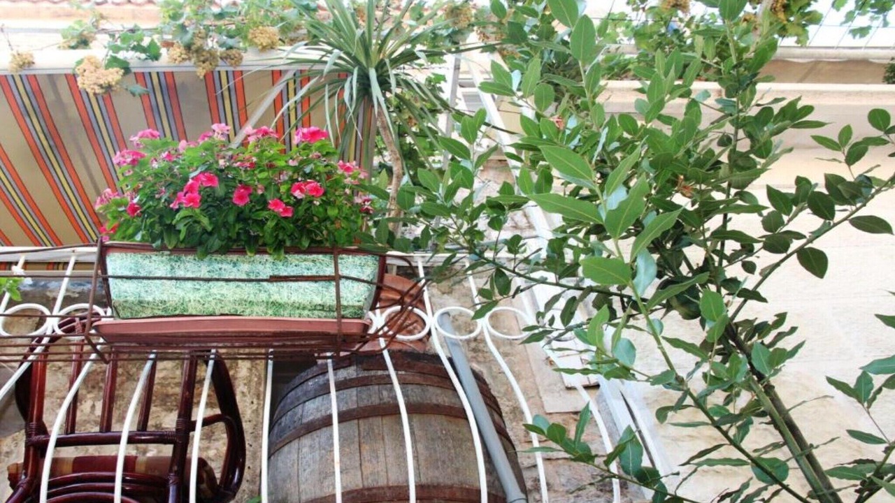 Photo of Outdoor in Old Town
