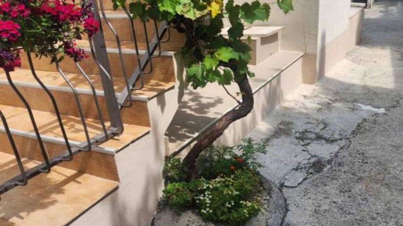 Photo of Outdoor in Prcanj