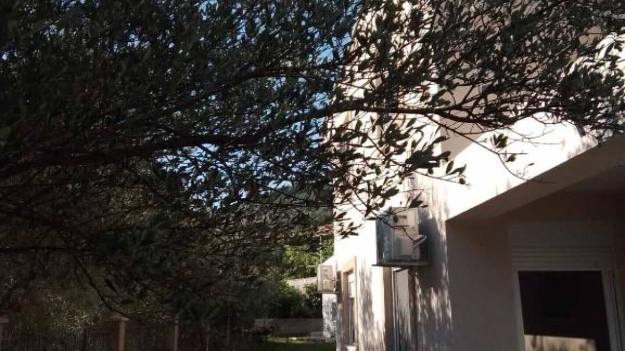 Photo of Outdoor in Mrcevac