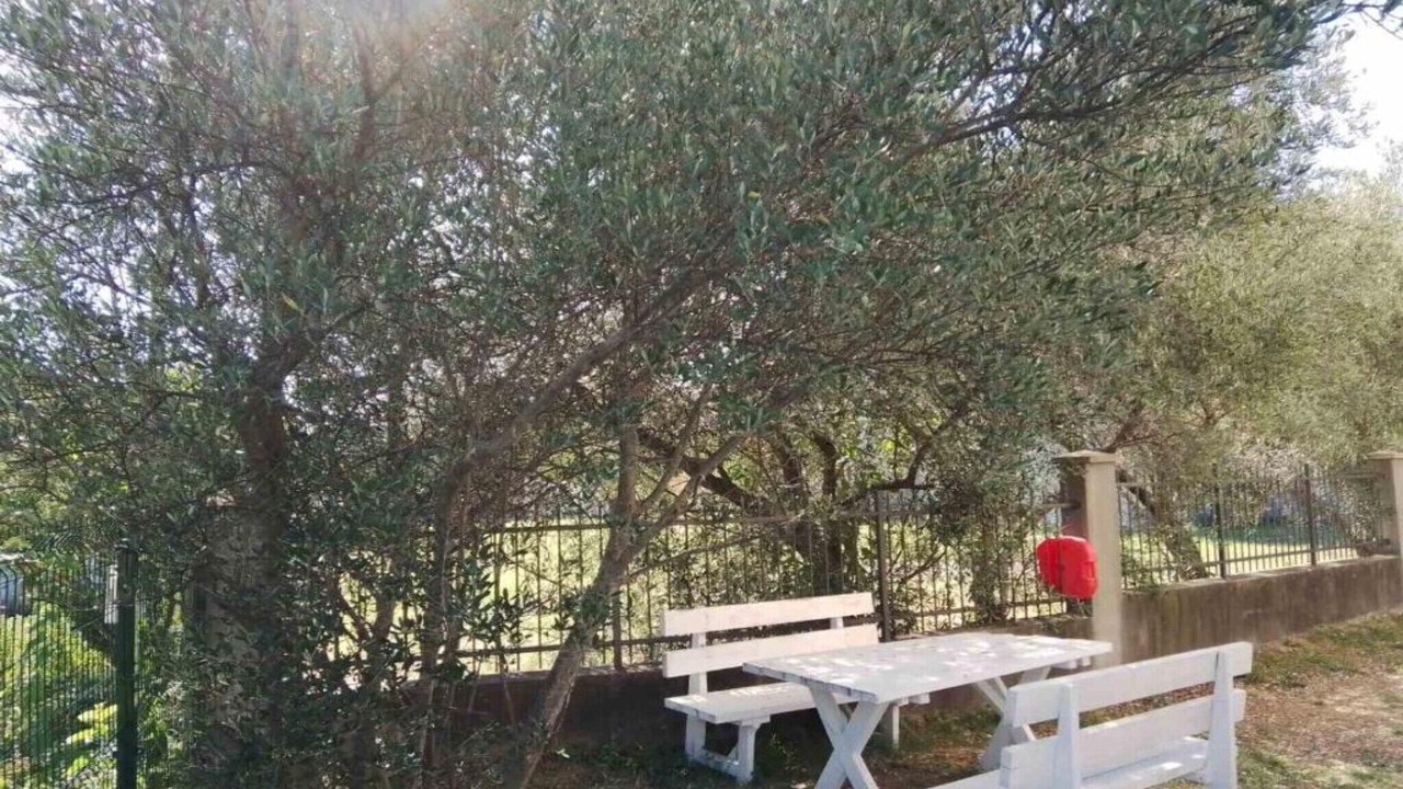 Photo of Outdoor in Mrcevac