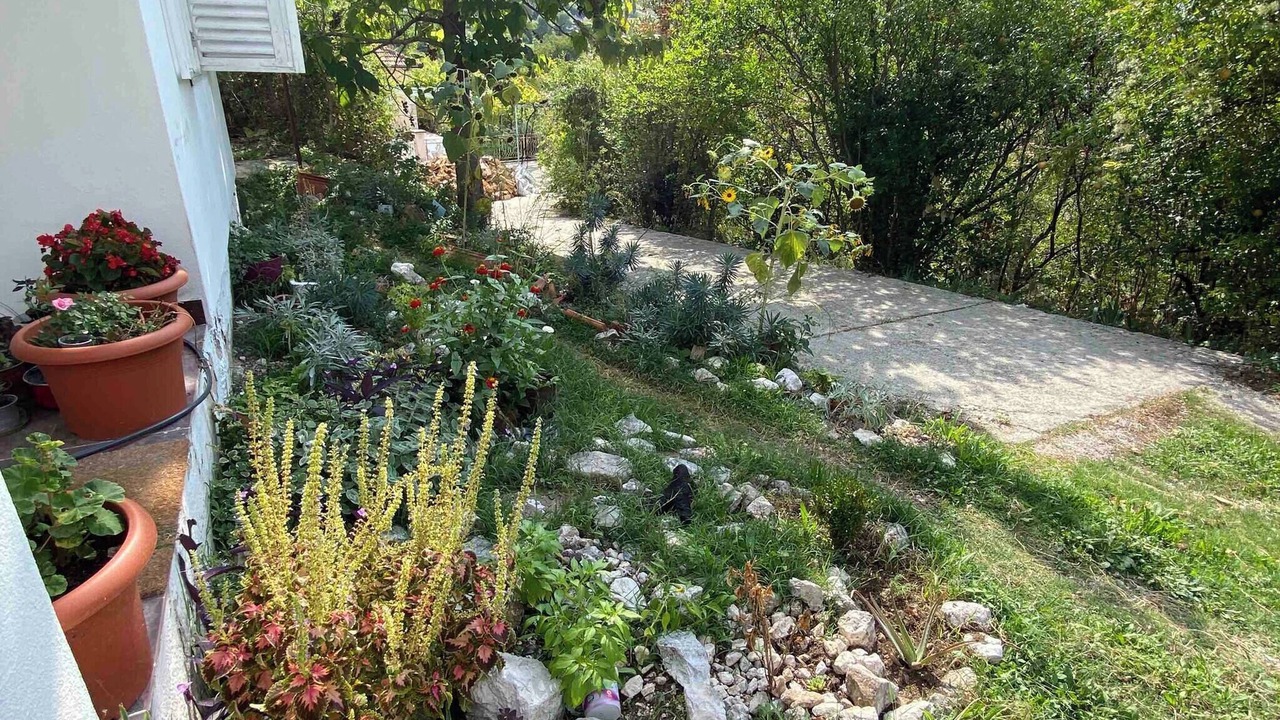 Photo of Outdoor in Risan