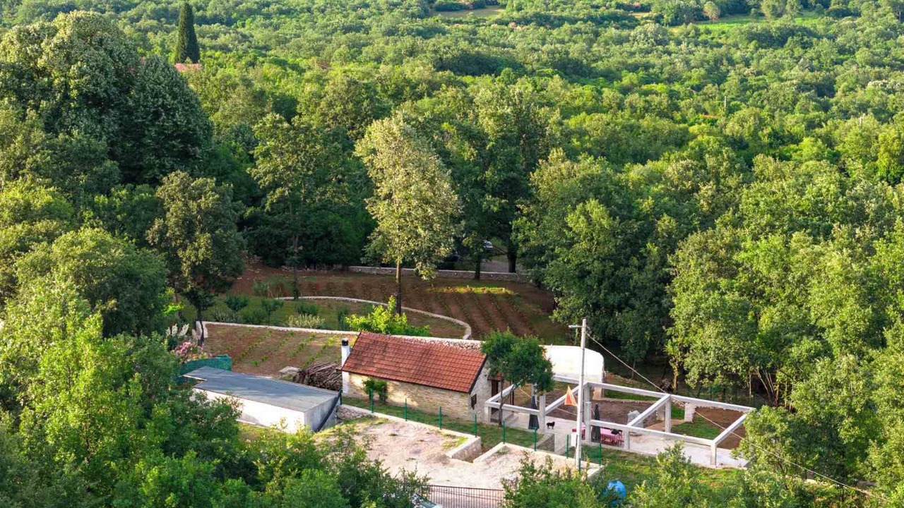 Photo of Outdoor in Pricelje