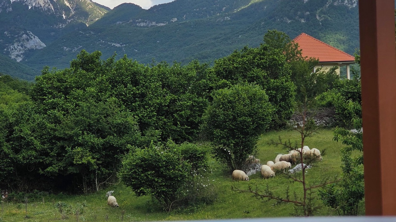 Photo of Others in Shkoder County