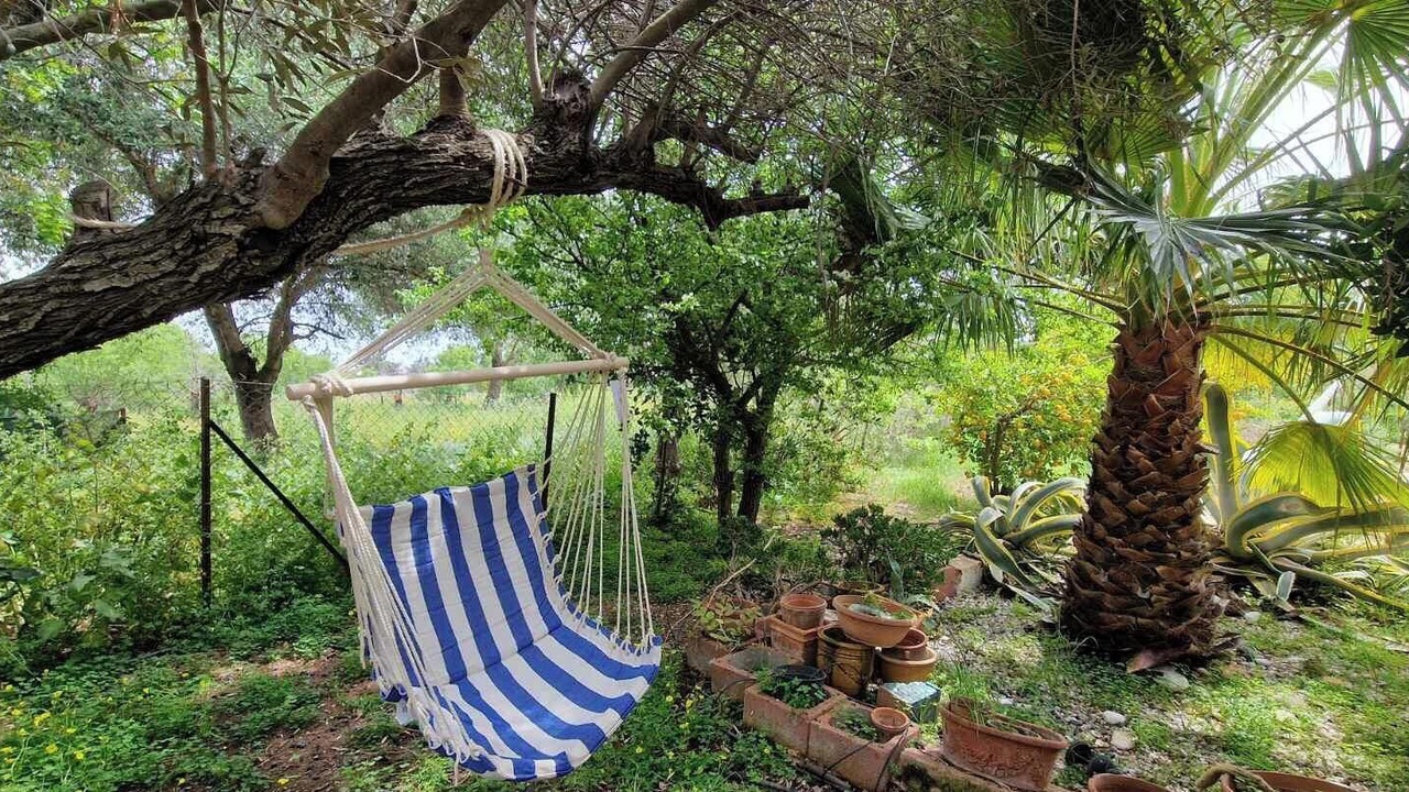 Photo of Outdoor in Nea Makri