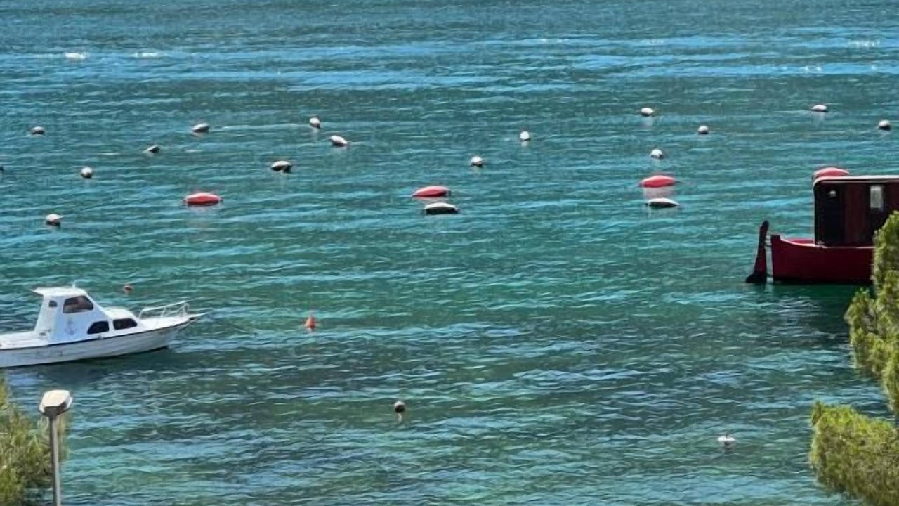 Photo of Others in Kotor