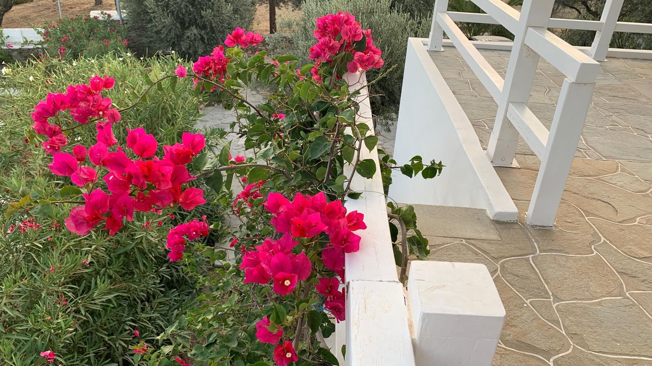 Photo of Outdoor in Vathi