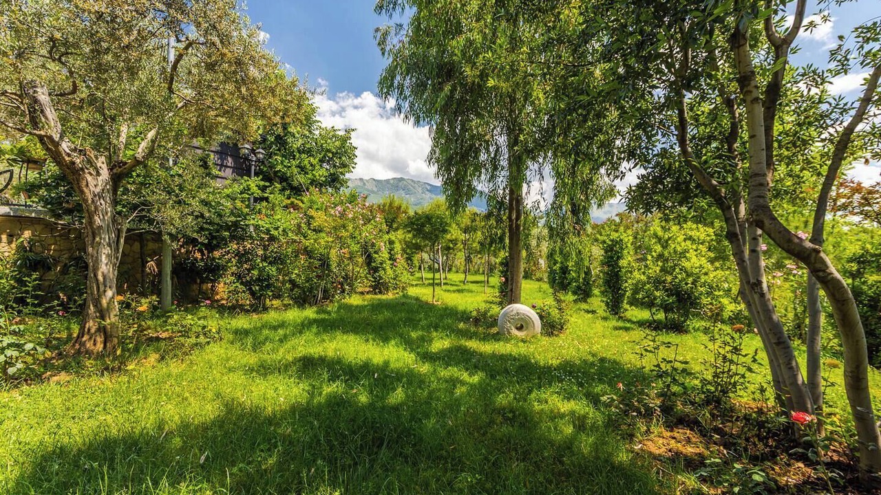Photo of Outdoor in Tirana