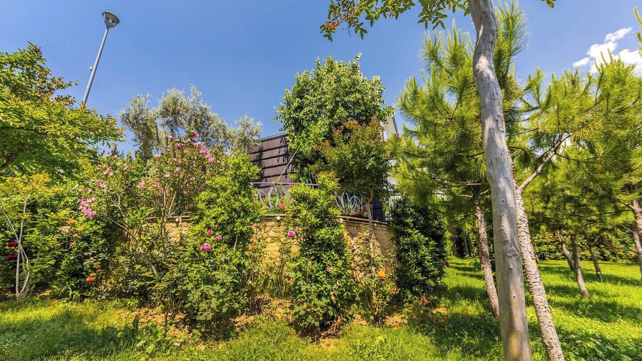 Photo of Outdoor in Tirana