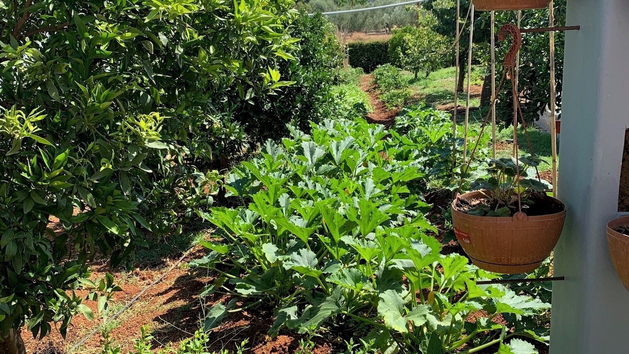 Photo of Outdoor in Evrotas
