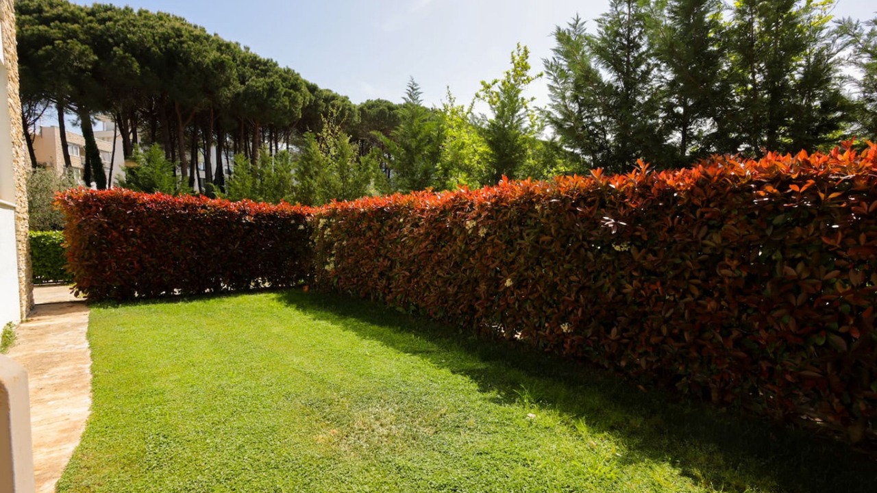 Photo of Outdoor in Ishem