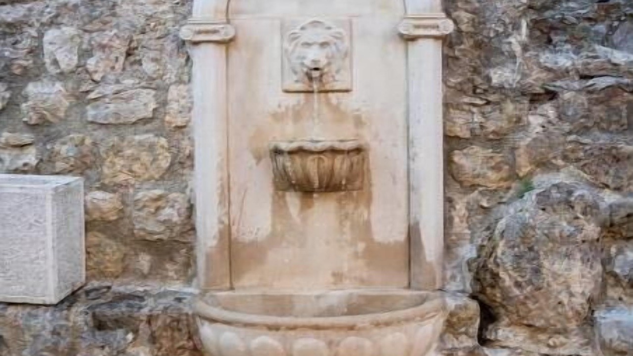 Photo of Others in Herceg Novi