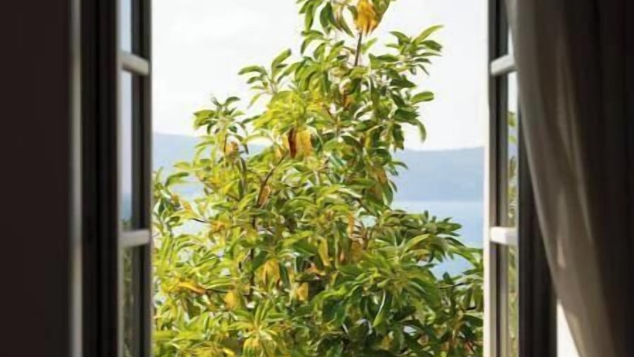 Photo of Others in Herceg Novi