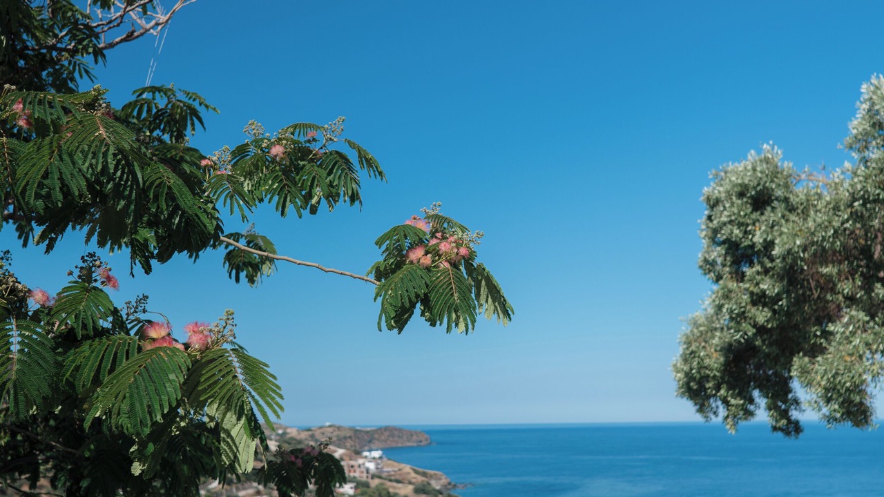 Photo of Outdoor in Agii Apostoli
