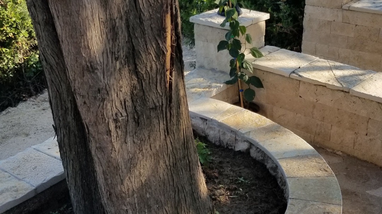 Photo of Outdoor in Ulcinj