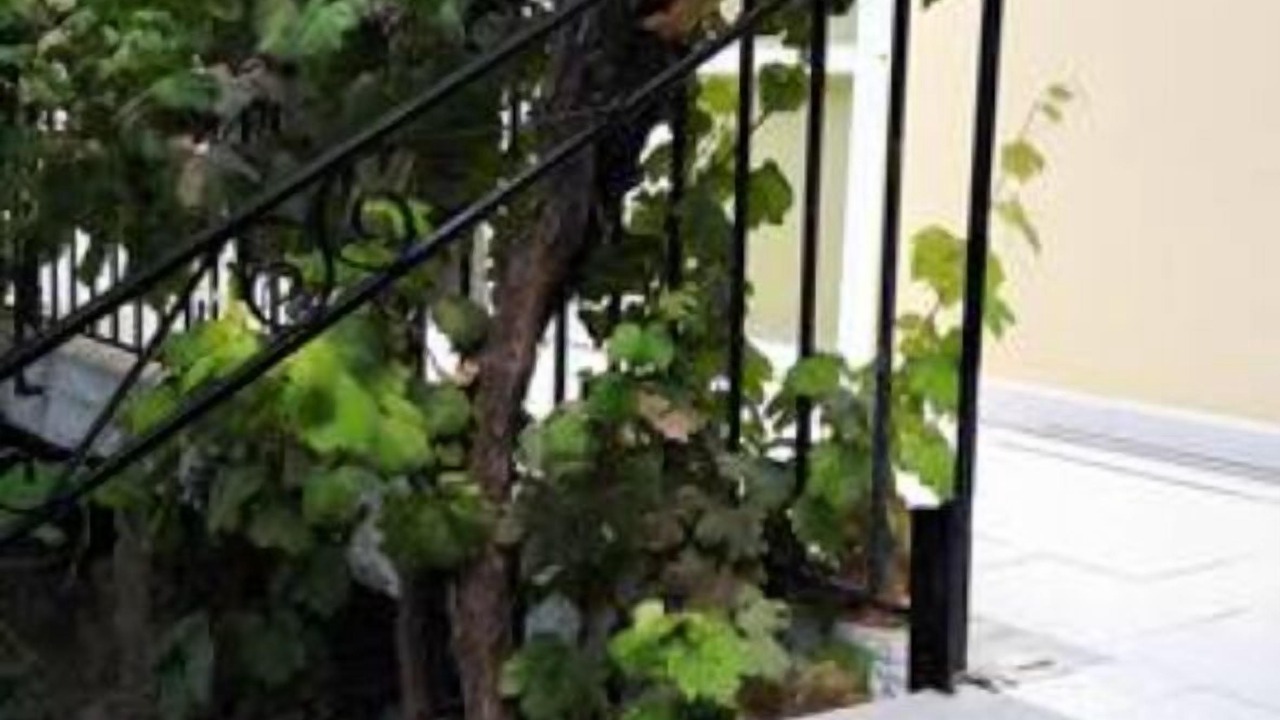 Photo of Outdoor in Kanoni