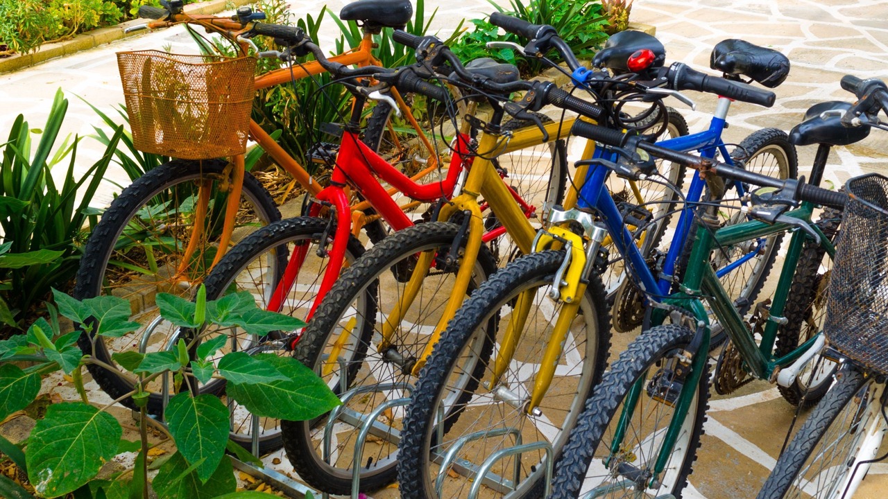 Photo of Outdoor in Aegina Town