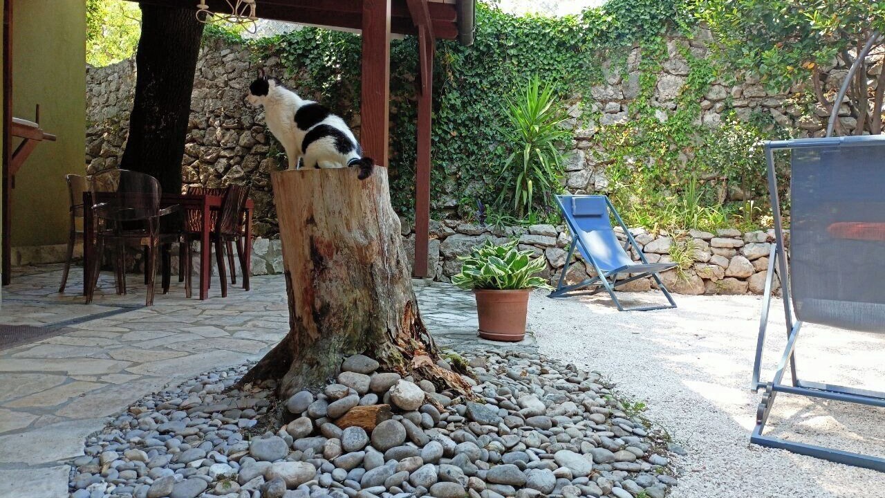 Photo of Outdoor in Orahovac