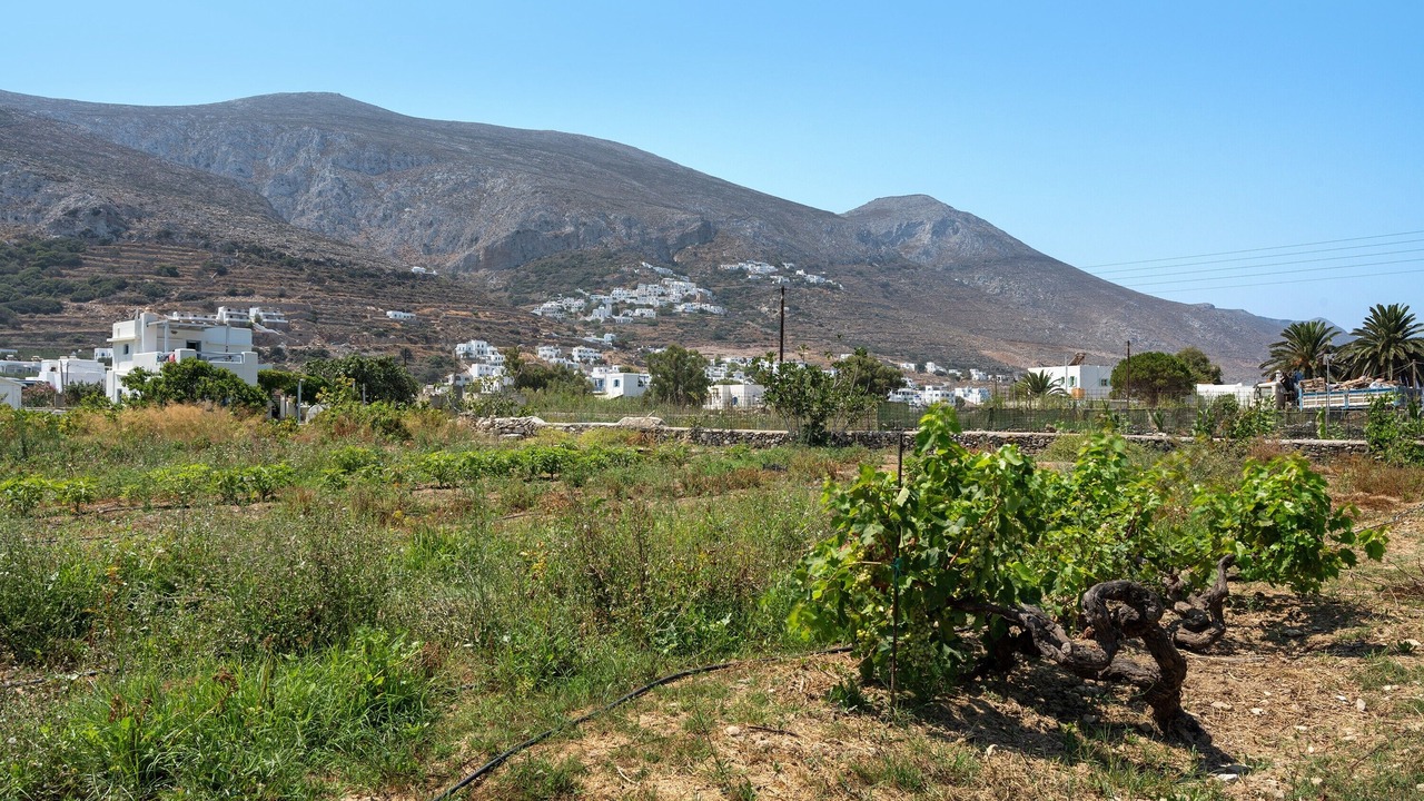 Photo of Others in Aegiali