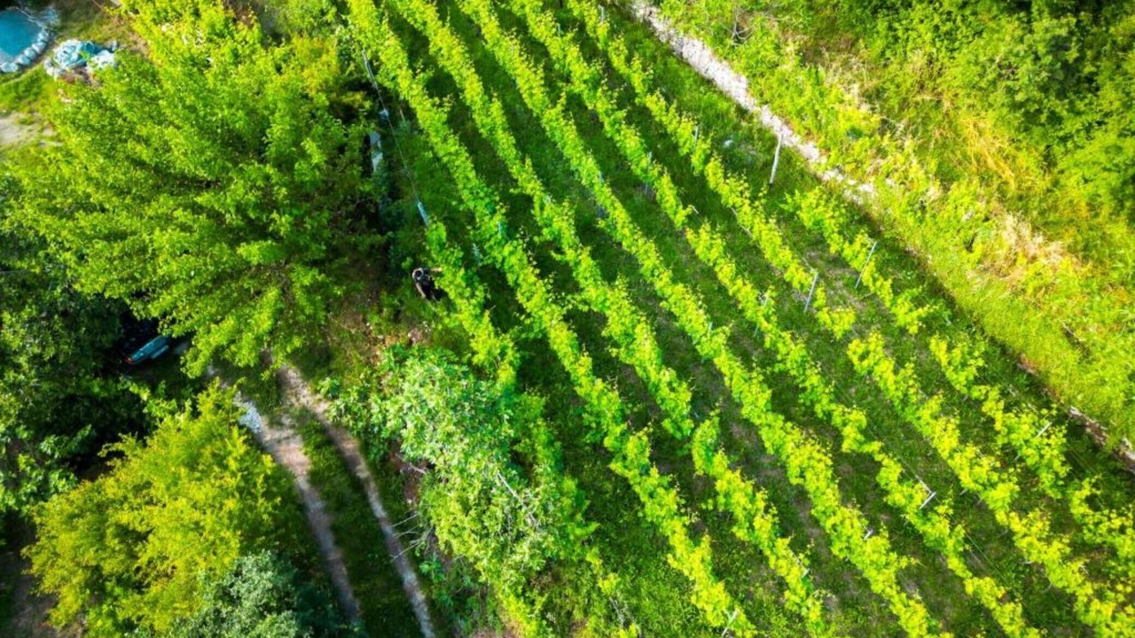 Photo of Outdoor in Limljani
