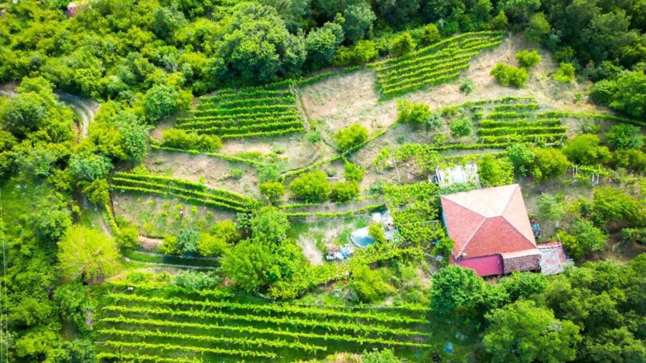 Photo of Outdoor in Limljani