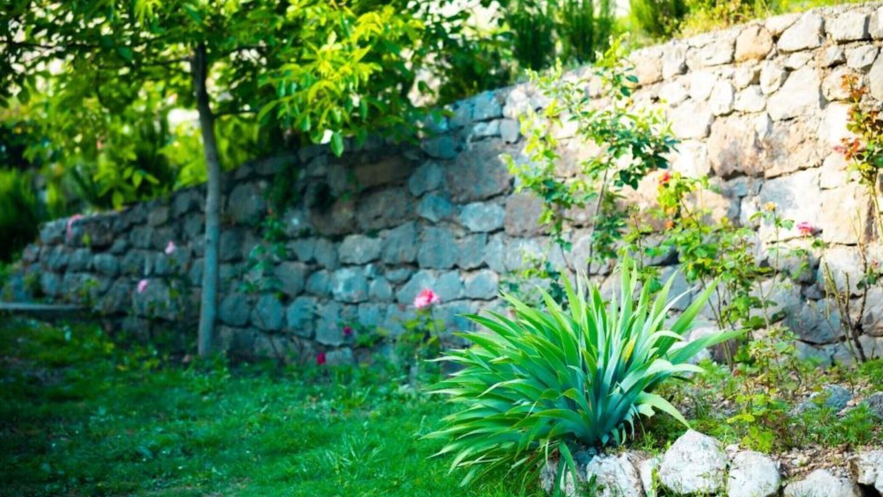 Photo of Outdoor in Limljani