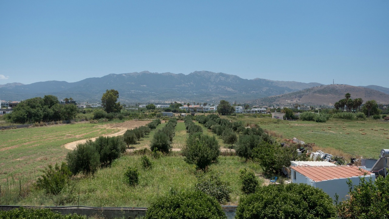 Photo of Others in Tingaki