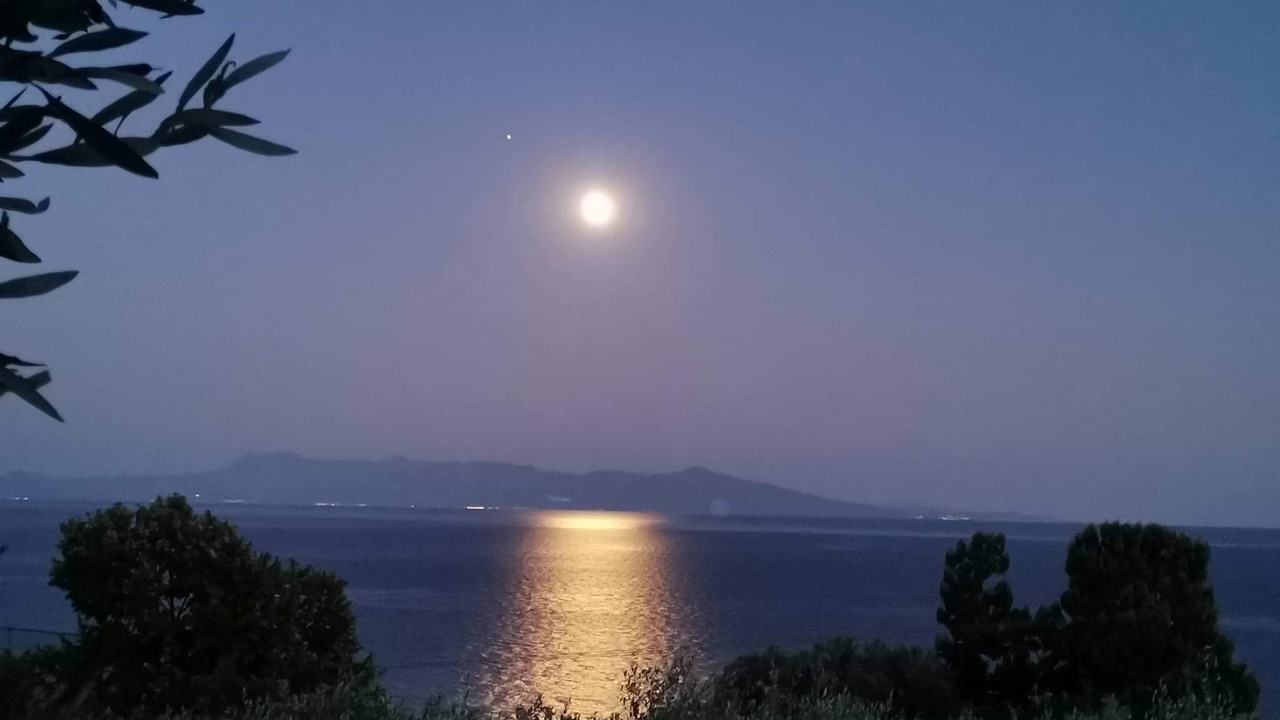 Photo of Outdoor in Pangaio
