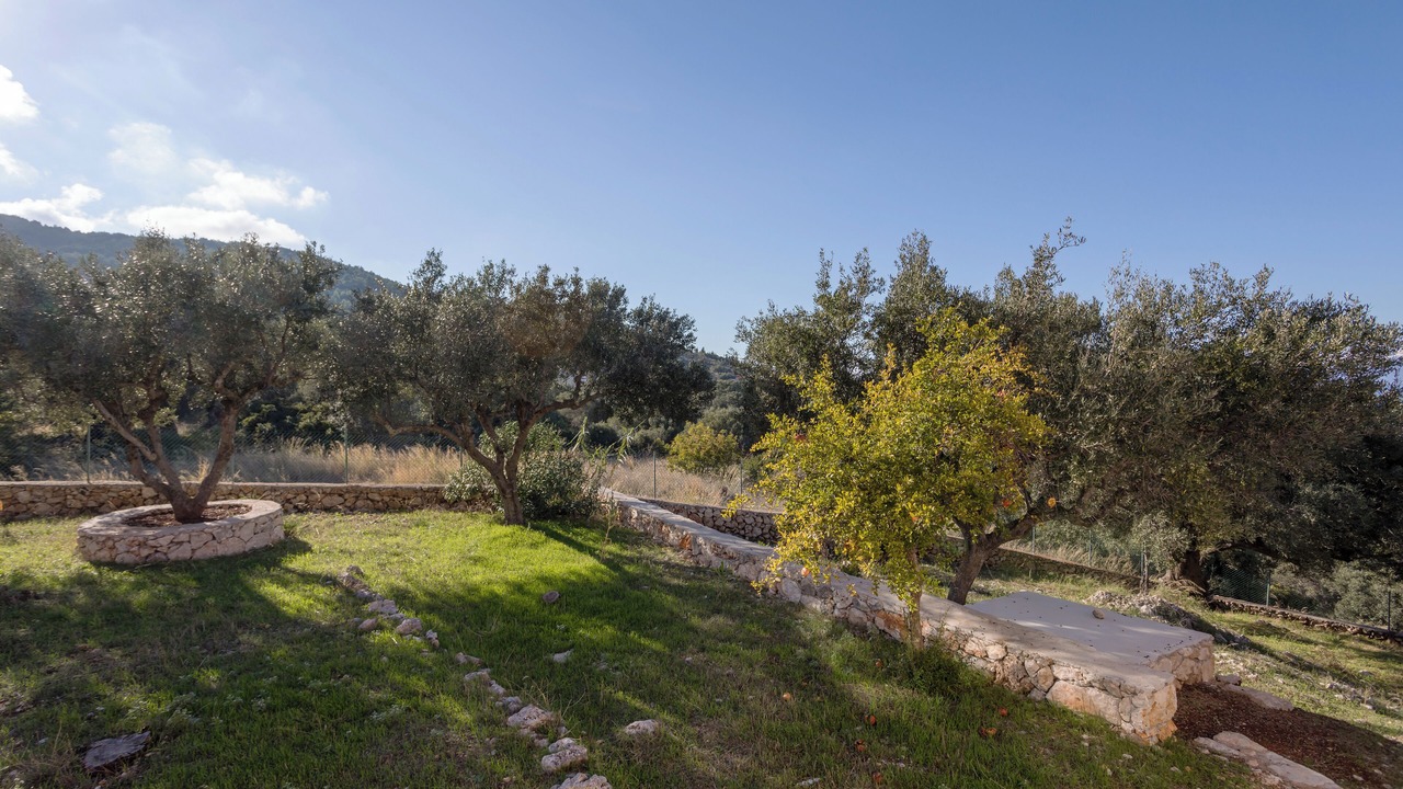 Photo of Outdoor in Elation