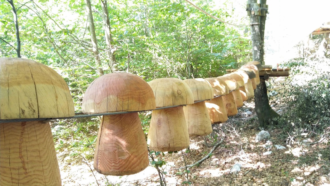 Photo of Outdoor in Vrbanje