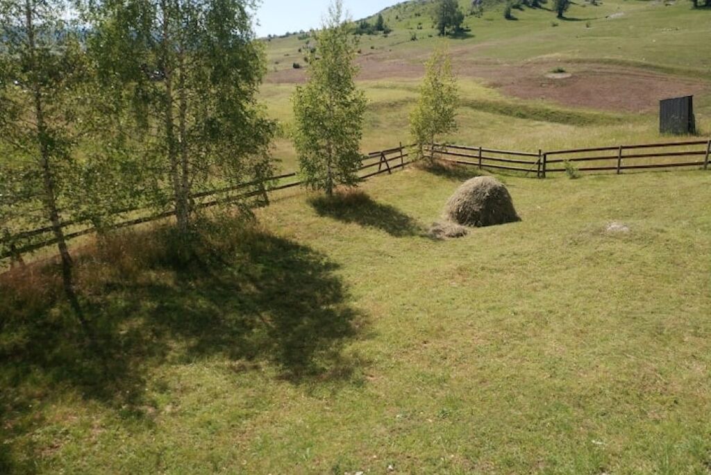 Photo of Outdoor in Zabljak