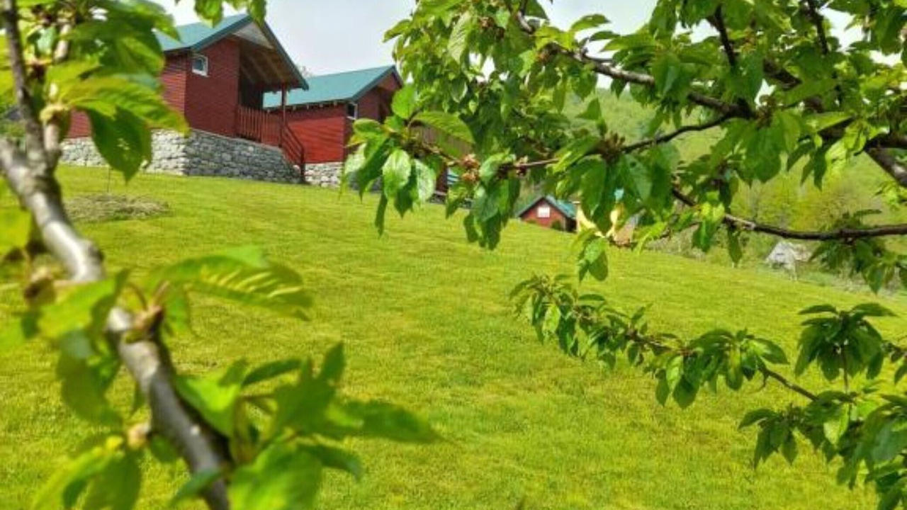 Photo of Outdoor in Mojkovac