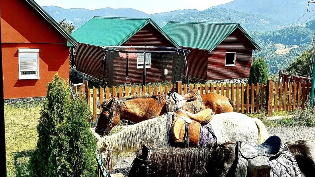 Photo of Outdoor in Mojkovac