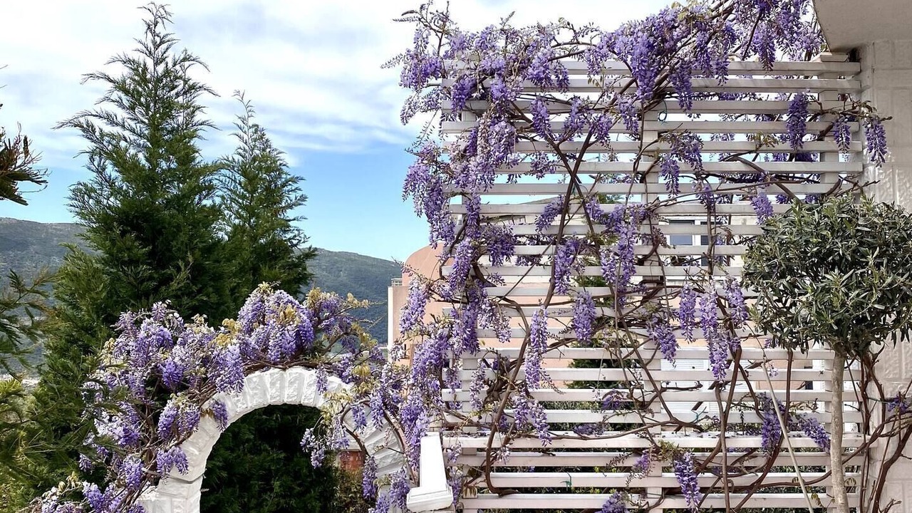 Photo of Patio Balcony in Prijevor