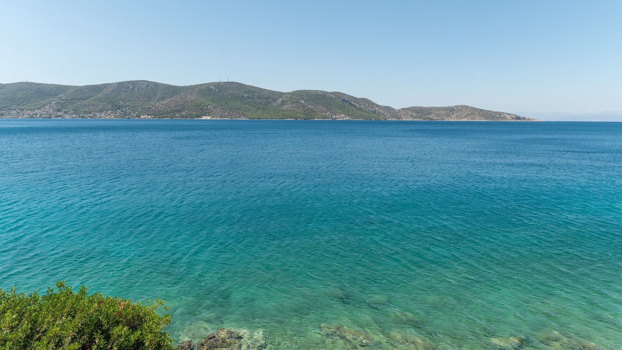 Photo of Others in Salamis