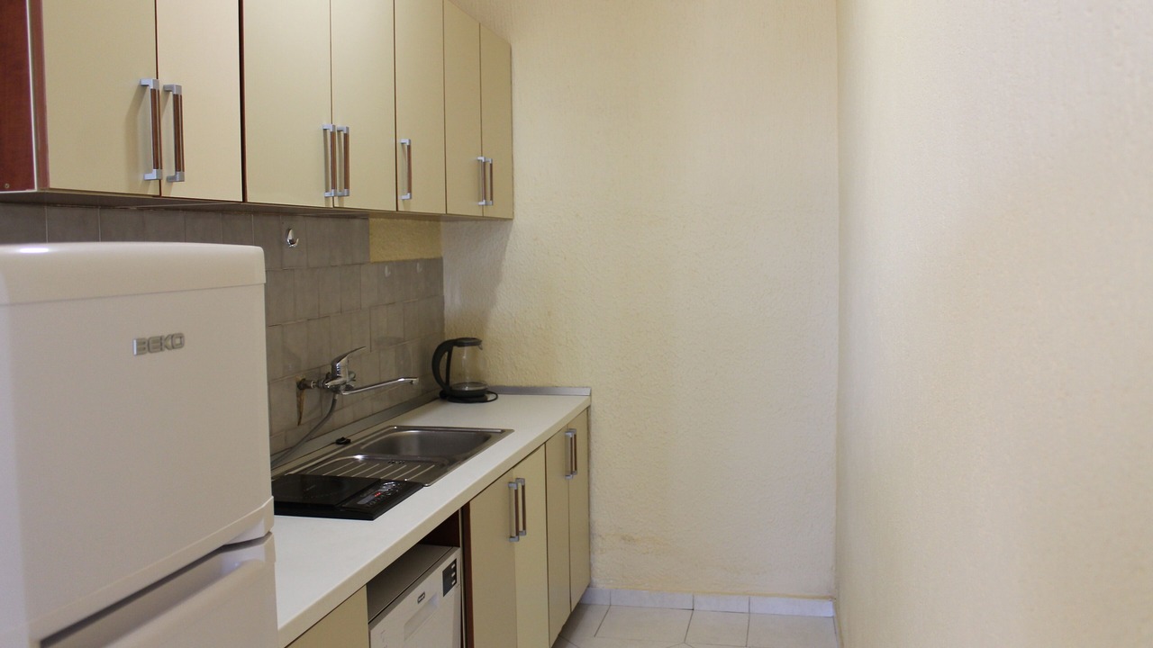 Photo of Kitchen in Burtaisi