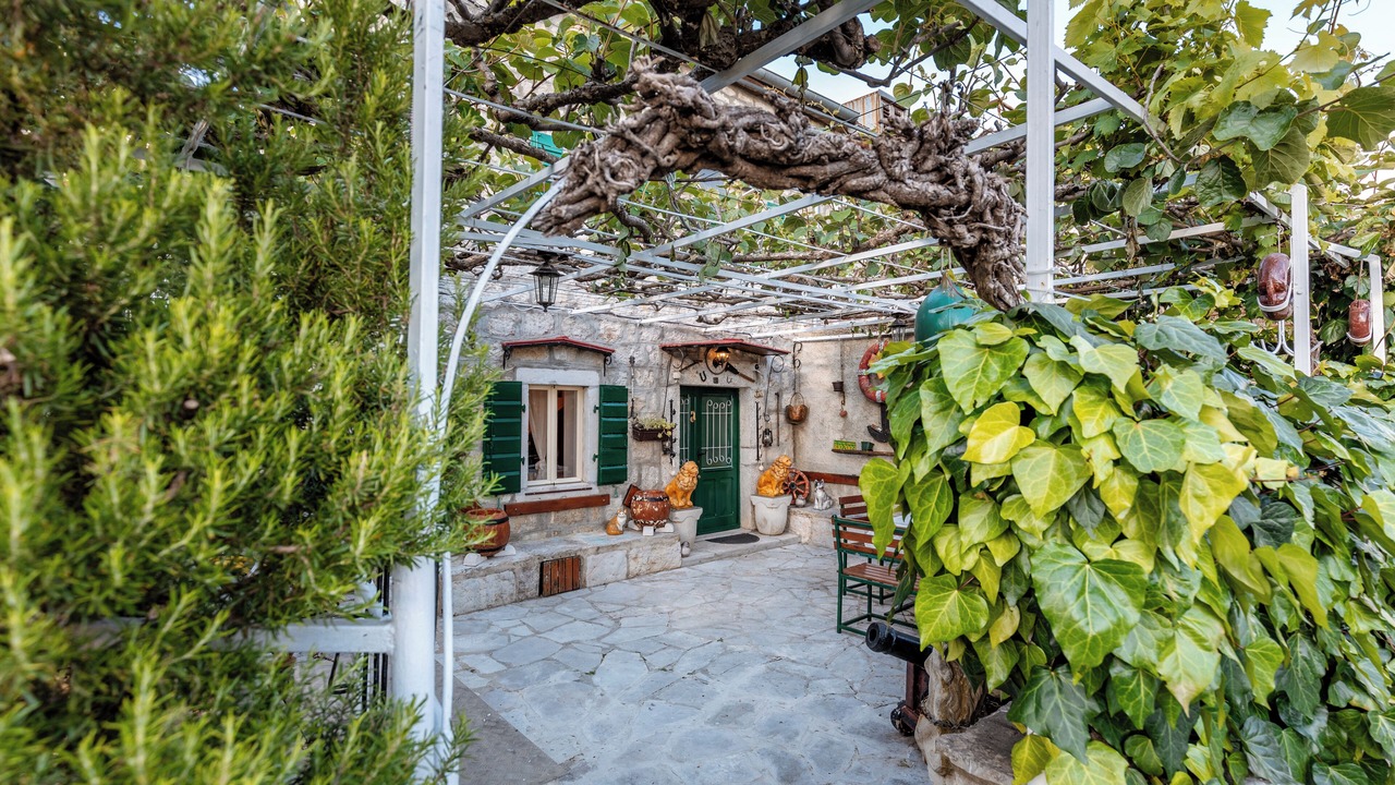Photo of Outdoor in Podi