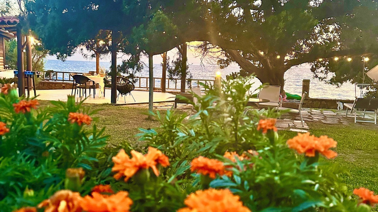 Photo of Outdoor in Pyrgos