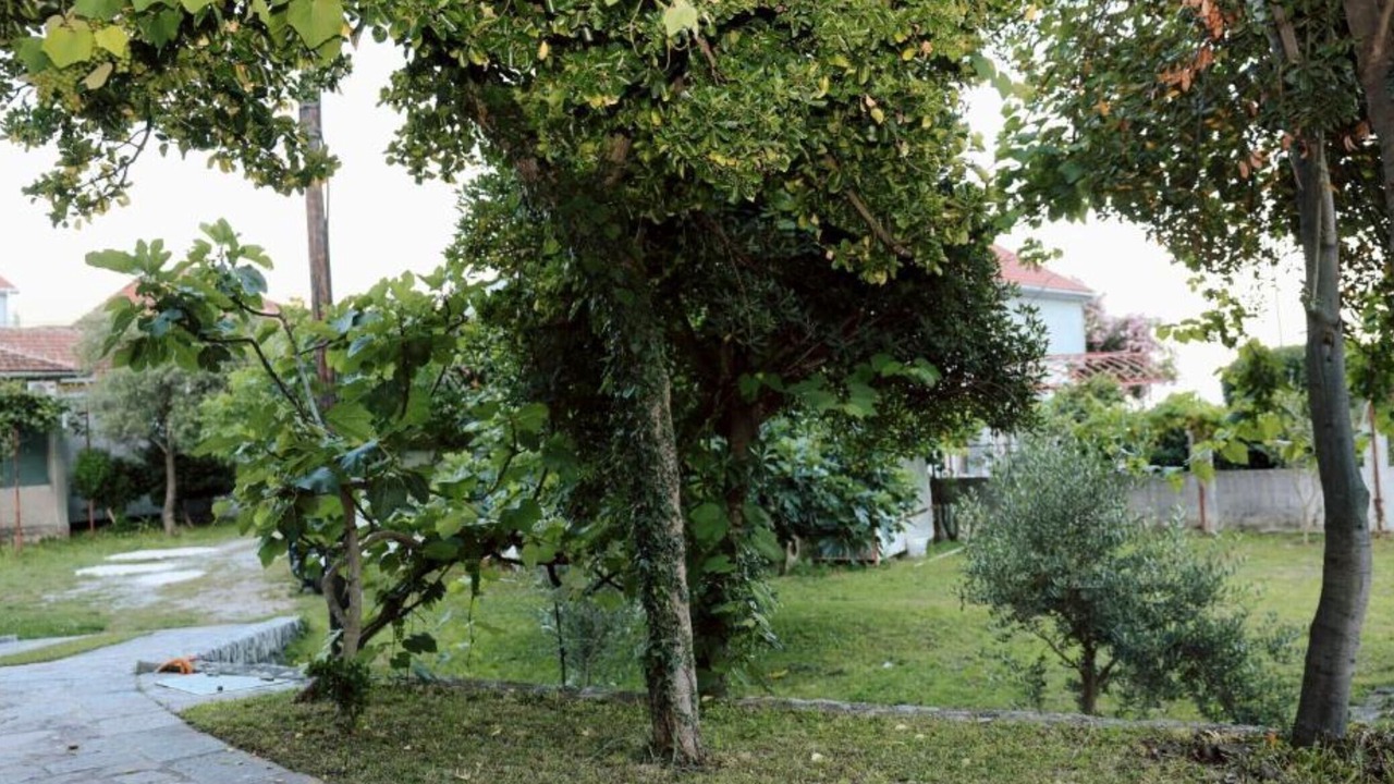 Photo of Outdoor in Bijela